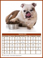 September 2025 calendar of serie 'dogs'