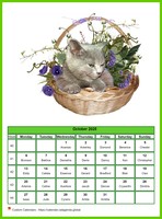 October 2025 calendar of serie 'cats'