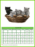 November 2025 calendar of serie 'Cats'