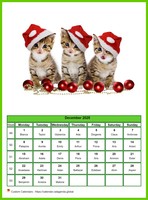 December 2025 calendar of serie 'Cats'