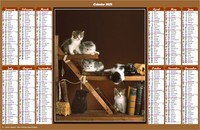 Annual 2025 calendar with cats