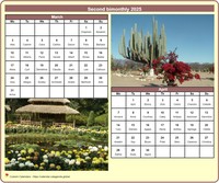 2025 two-month calendar with a different photo each month