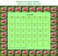Calendar January 2025 water lily patterns