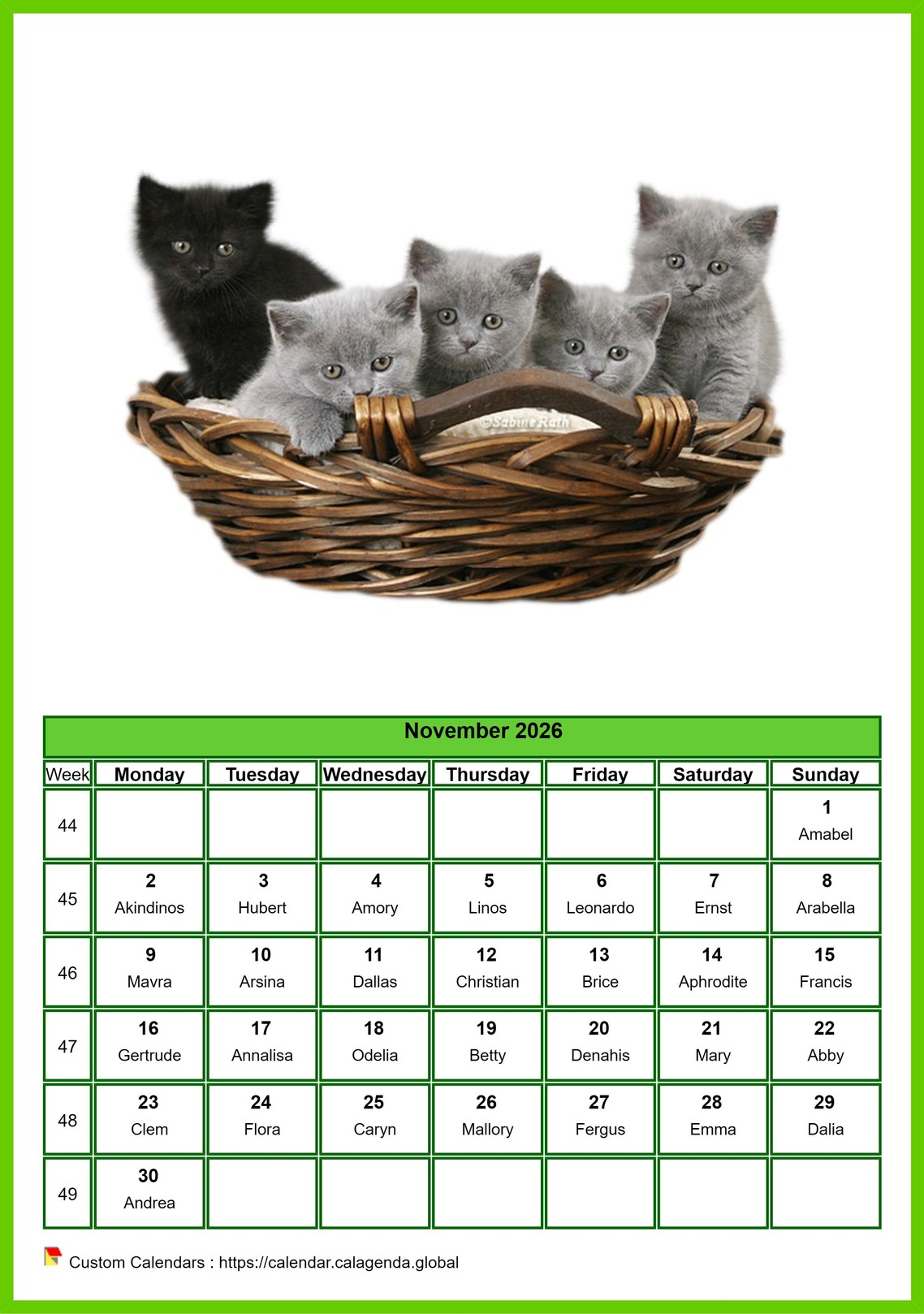 Calendar November 2026 cats