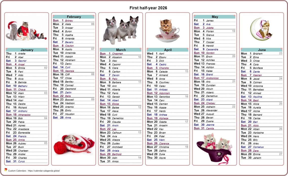 Calendar 2026 half-year cats
