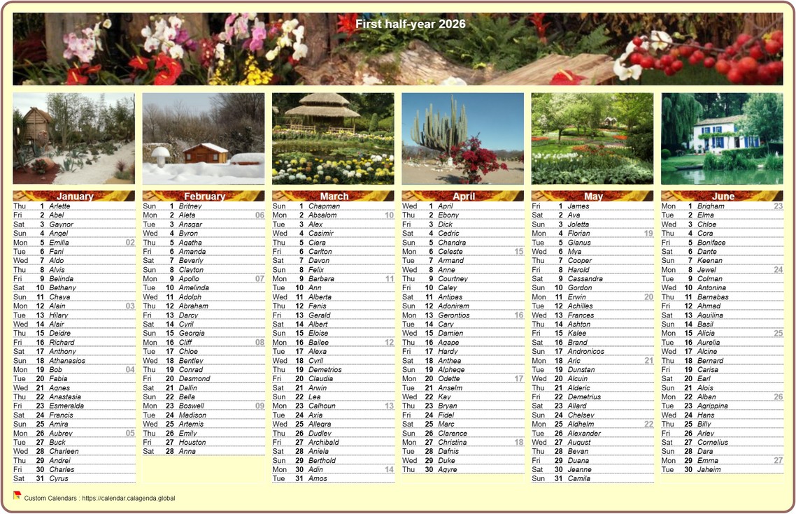 Calendar 2026 half-year in columns with a different photo every month