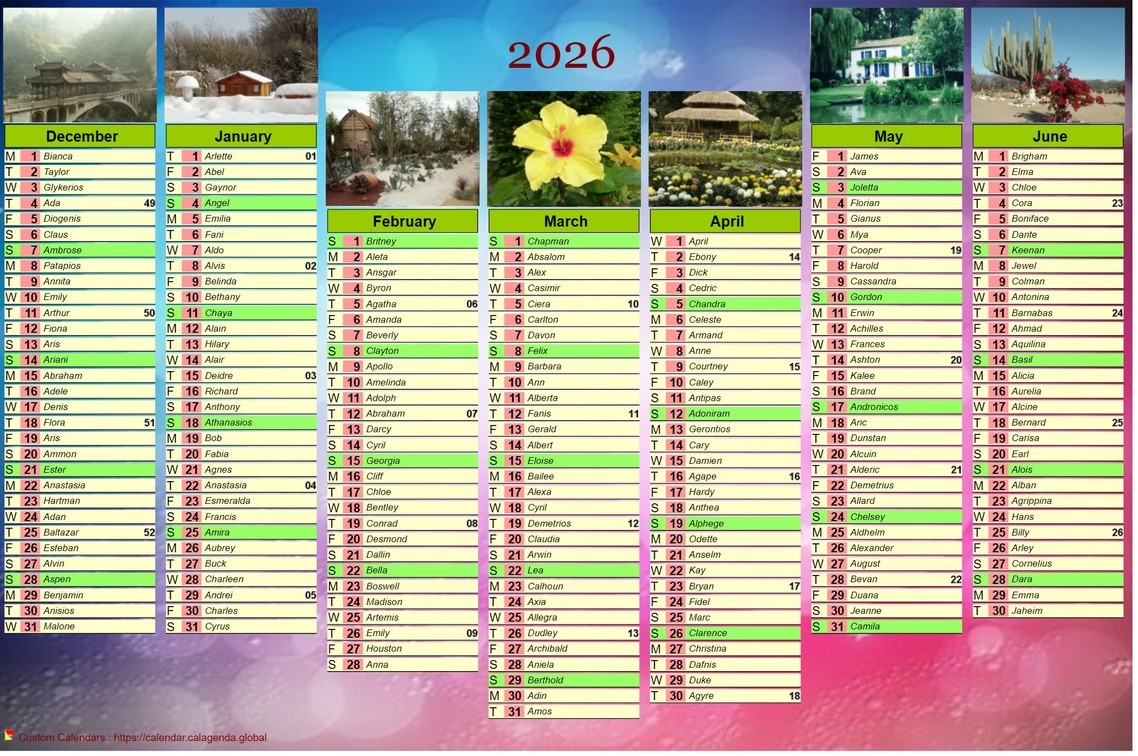 Calendar 2026 of seven months with photos