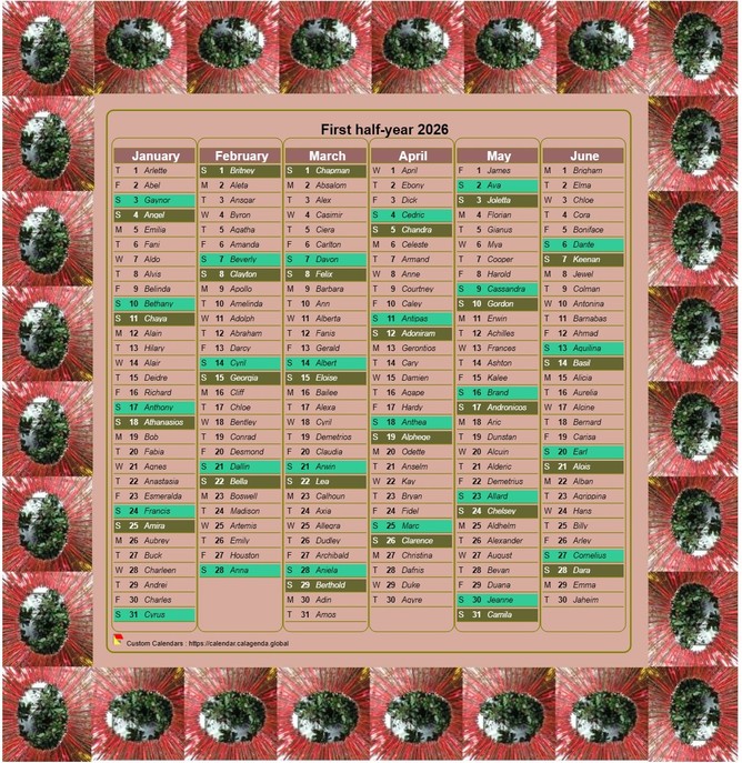 Calendar 2026 half-year decorative in column, with photo frame, portrait format