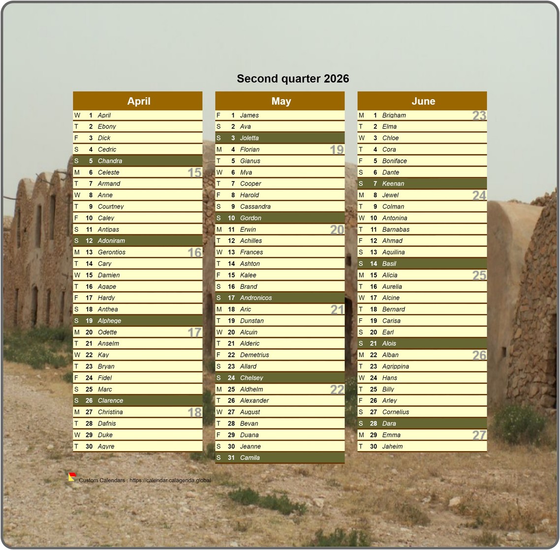 Calendar 2026 quarterly decorative with photo, format portrait, a column a month