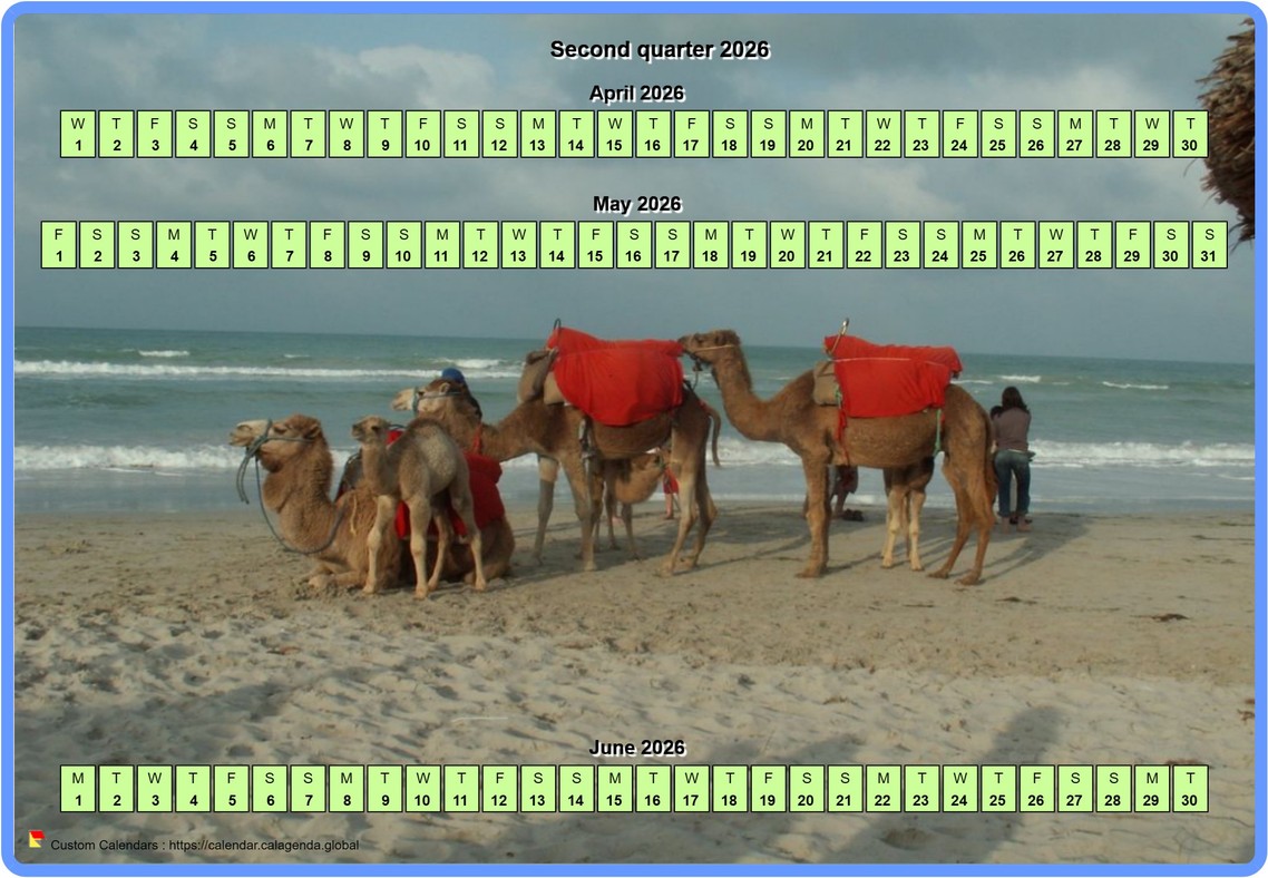 Calendar 2026 quarterly horizontal with a photo in calendar background
