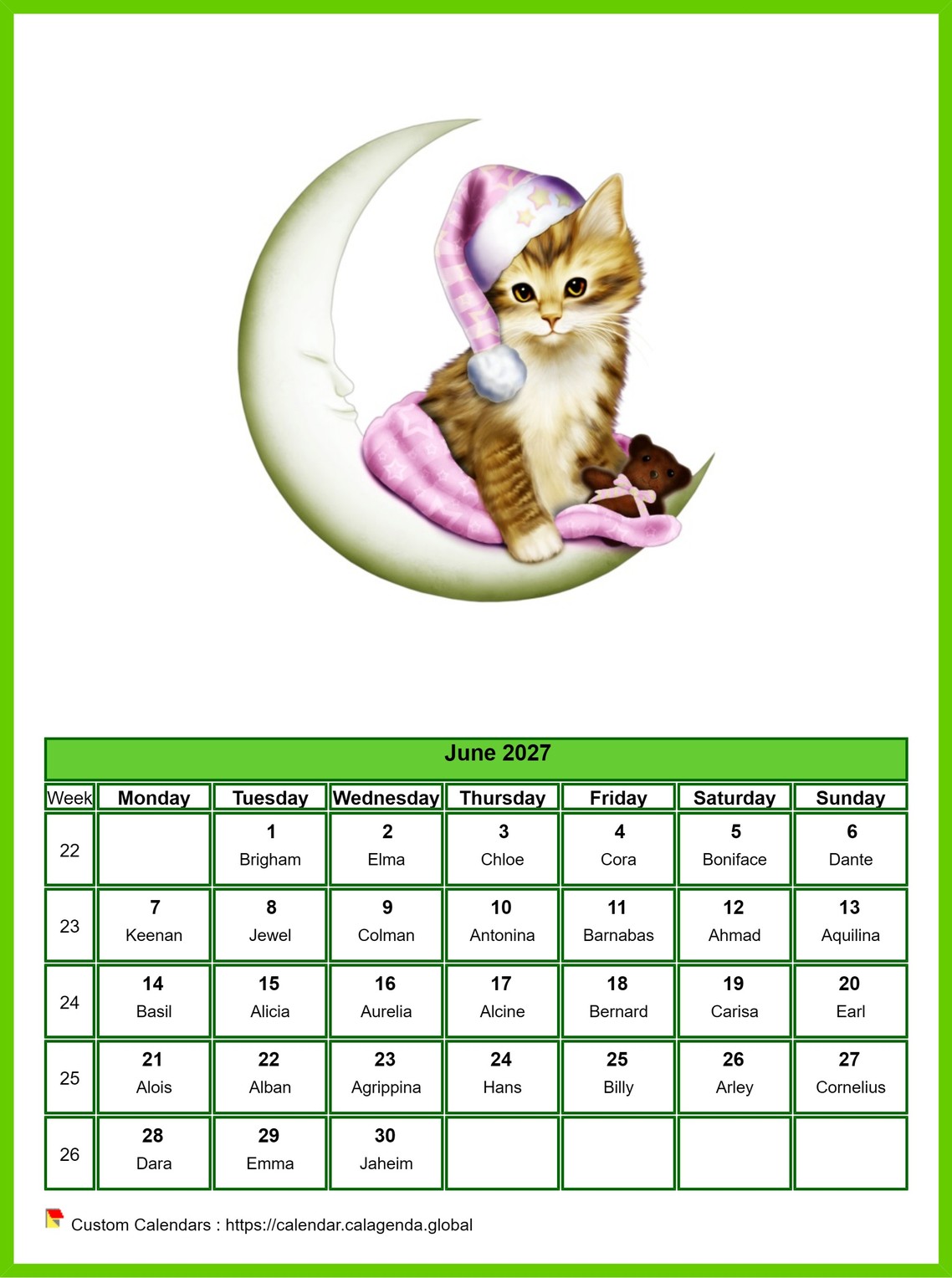 Calendar June 2027 cats