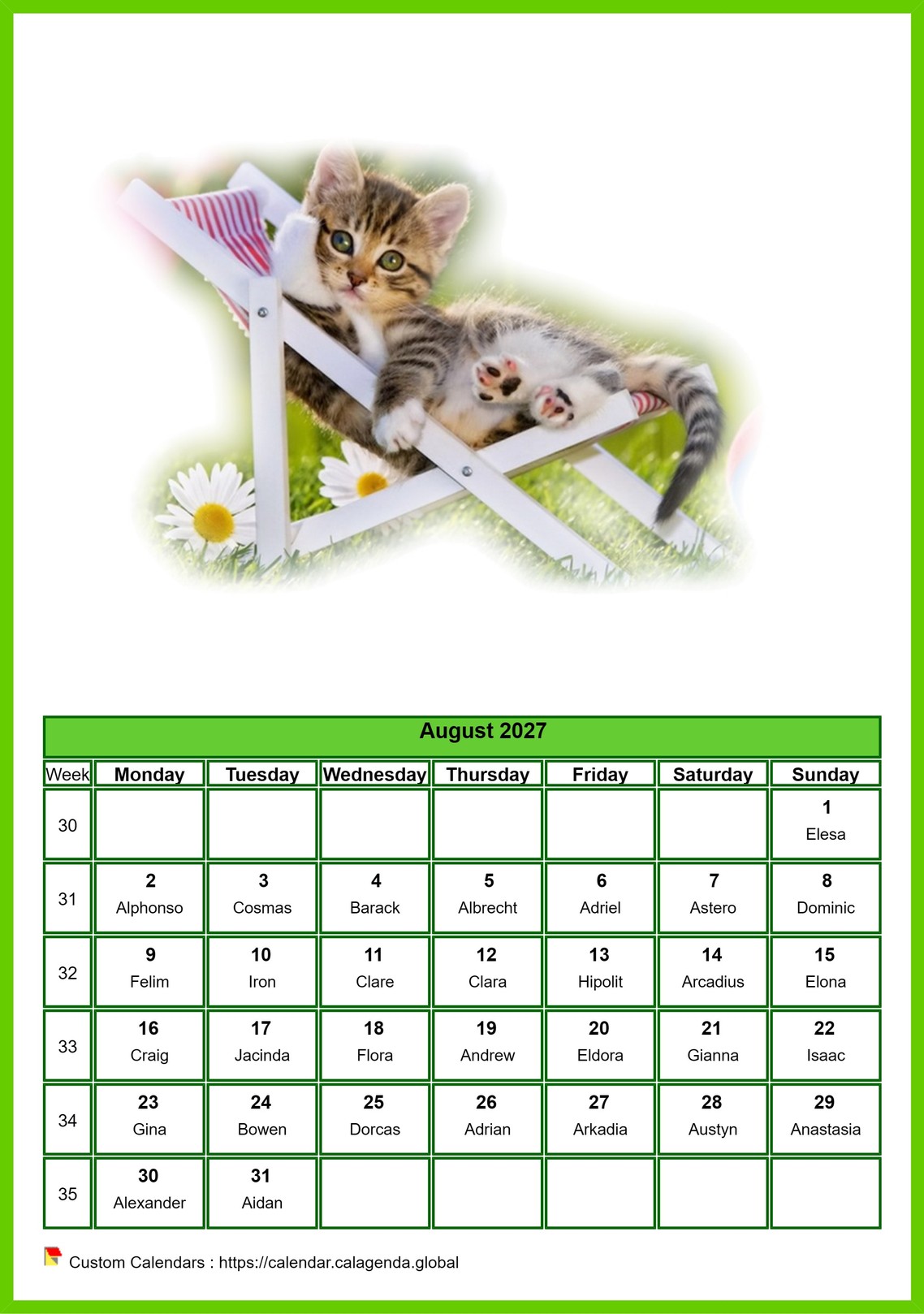 Calendar August 2027 cats