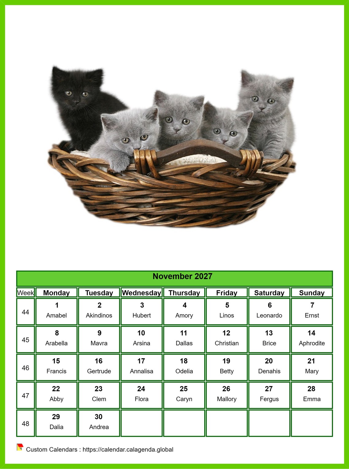 Calendar November 2027 cats