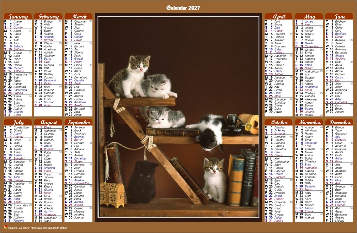Calendar 2027 annual of style calendar of posts with cats