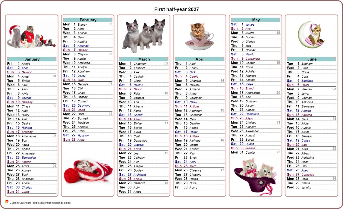 Calendar 2027 half-year cats