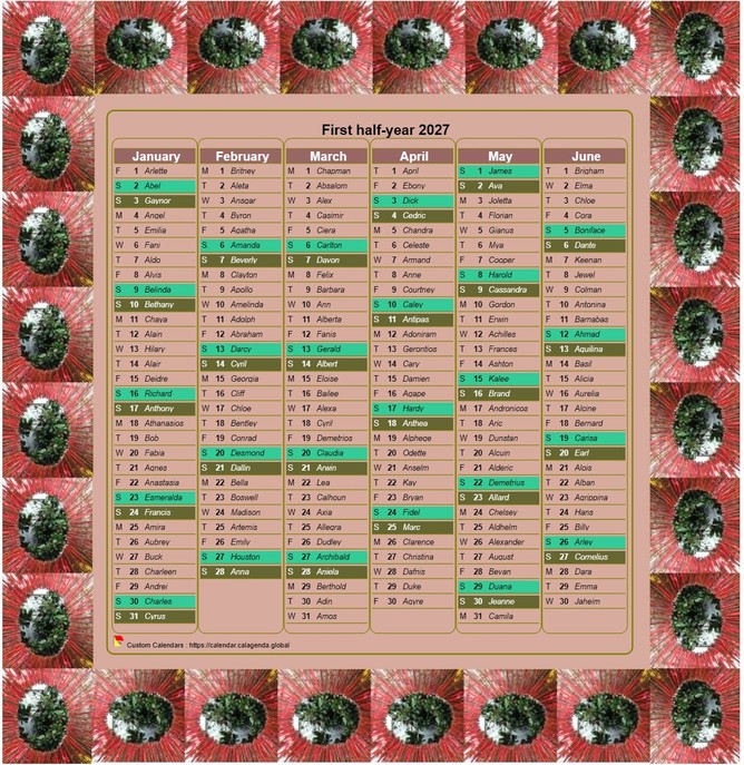 Calendar 2027 half-year decorative in column, with photo frame, portrait format