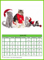 January 2027 calendar of serie 'Cats'