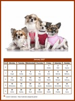 January 2027 calendar of serie 'dogs'
