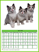 March 2027 calendar of serie 'cats'