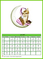 June 2027 calendar of serie 'cats'