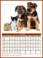 June 2027 calendar of serie 'dogs'