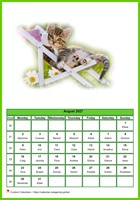 August 2027 calendar of serie 'cats'