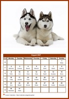 August 2027 calendar of serie 'dogs'
