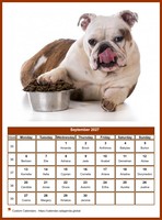 September 2027 calendar of serie 'dogs'
