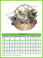 October 2027 calendar of serie 'cats'