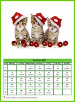 December 2027 calendar of serie 'cats'