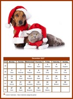 December 2027 calendar of serie 'dogs'