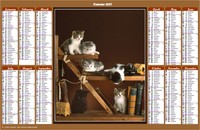 Annual 2027 calendar with cats