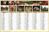 2027 biannul calendar one photo per month