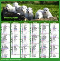 Biannul calendar style posts 2027