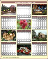2027 half-year calendar with a different photo each month