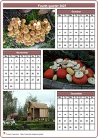 2027 quarterly calendar with one photo per month