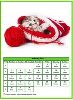 February 2008 calendar of serie 'cats'