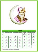 June 2027 calendar of serie 'cats'