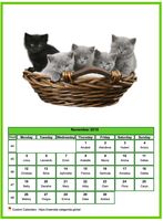 November 2025 calendar of serie 'cats'