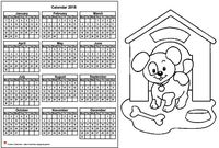 Annual coloring schedule 2024