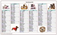 Semi-annual calendar 2025 dogs